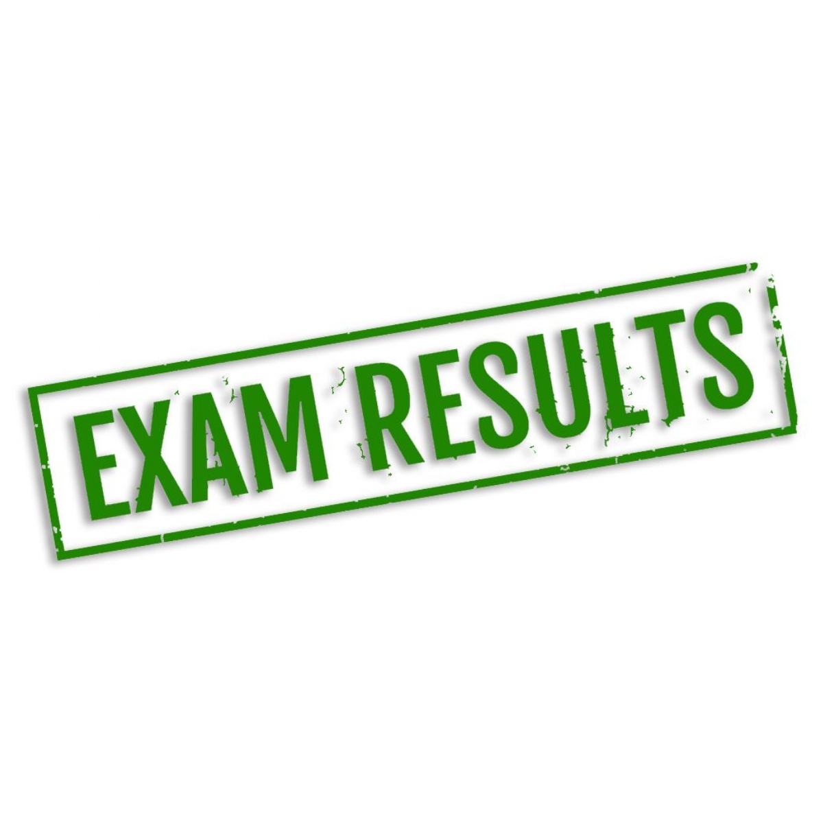 External Examination Results, Summer 2024 - The South Wolds Academy and ...